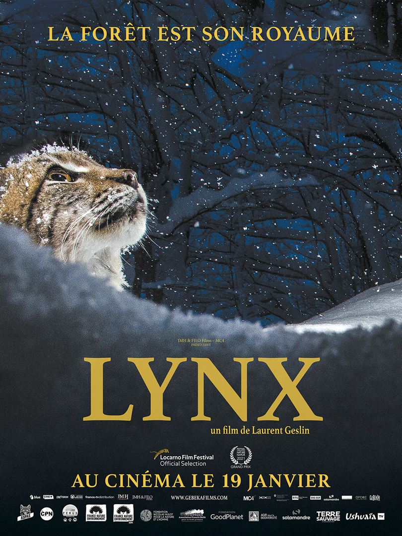 Lynx affiche