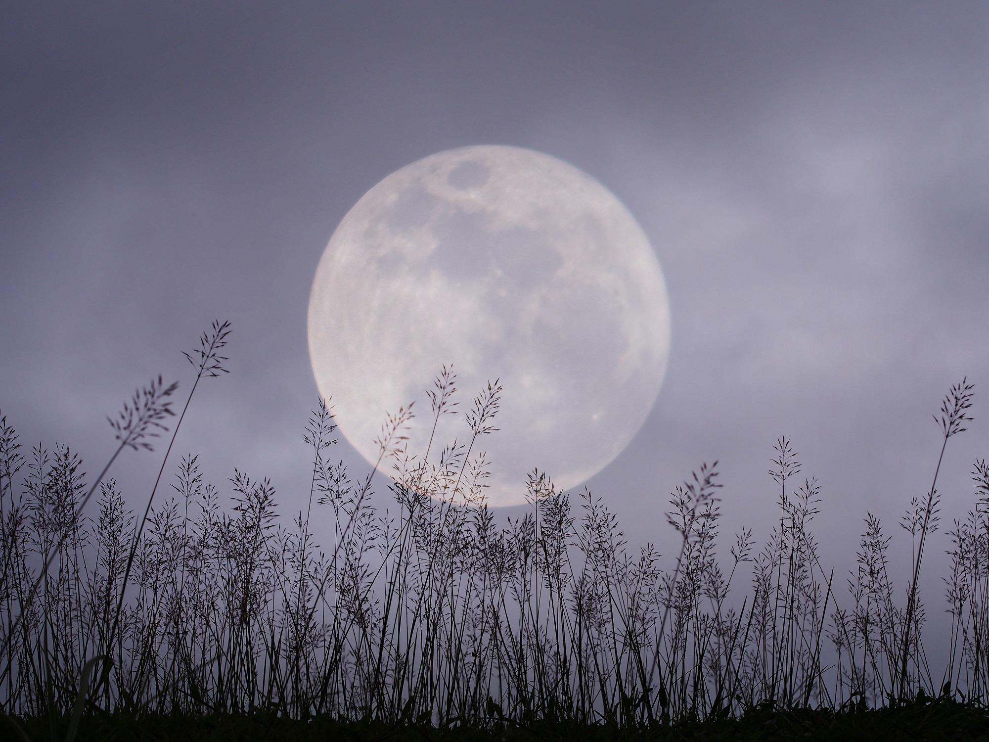 dramatic night sky with full moon and meadow for halloween backg