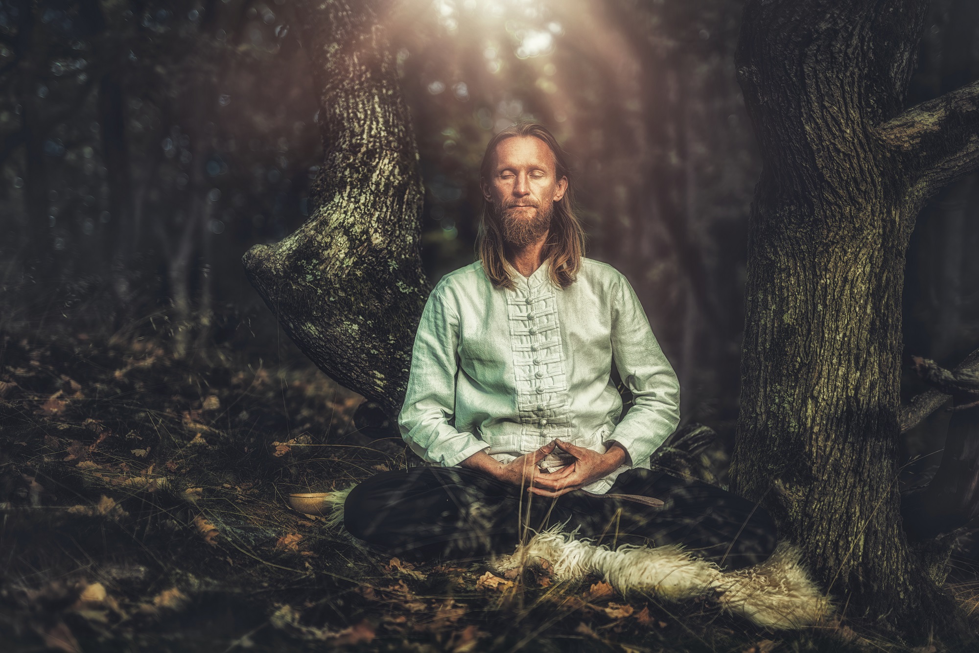 Middle aged Caucasian man practices tai chi in the summer. Meditation and relaxation in nature. Healthy lifestyle and sports.