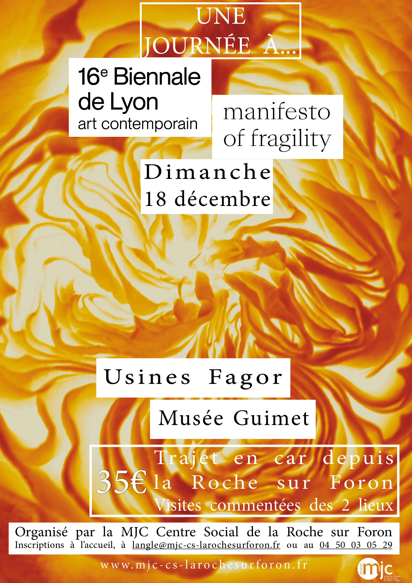 Affiche biennale web
