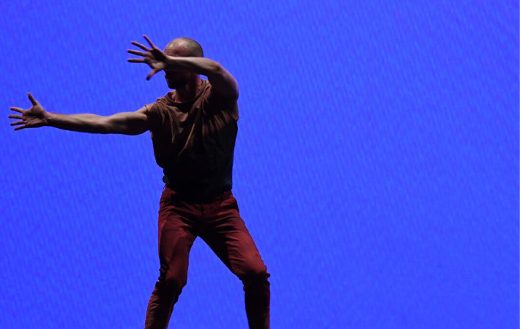 STAGE : DANSE CONTEMPORAINE