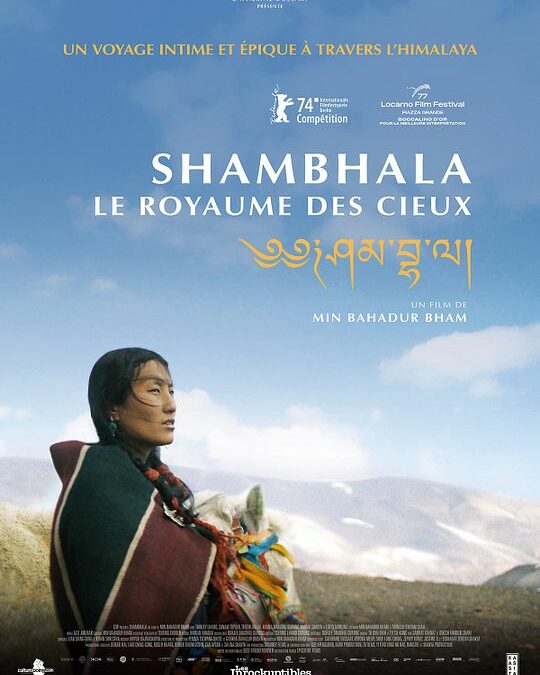 LES FILMS TOUT UN MONDE